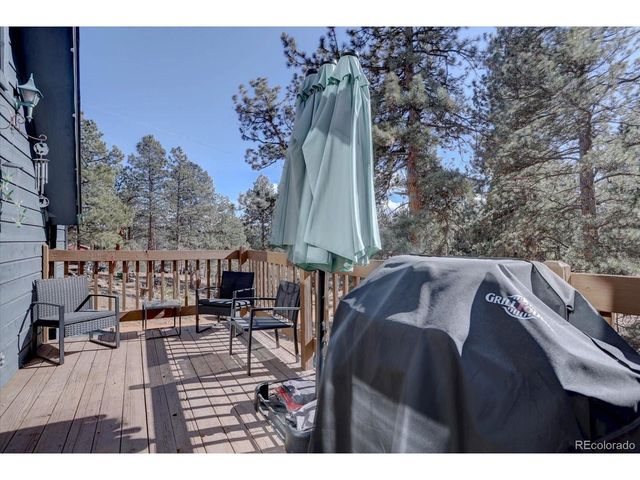 33350 Beverly Rd, Pine, CO 80470