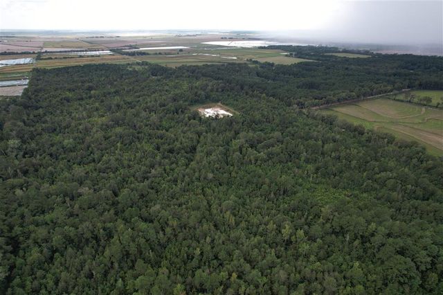 TBD Leonard Road, Elton, LA 70532