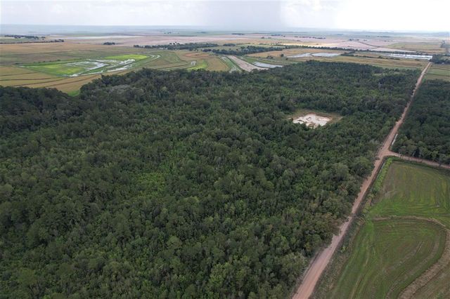 TBD Leonard Road, Elton, LA 70532