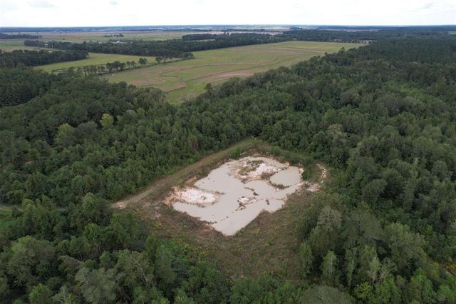 TBD Leonard Road, Elton, LA 70532