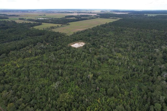 TBD Leonard Road, Elton, LA 70532