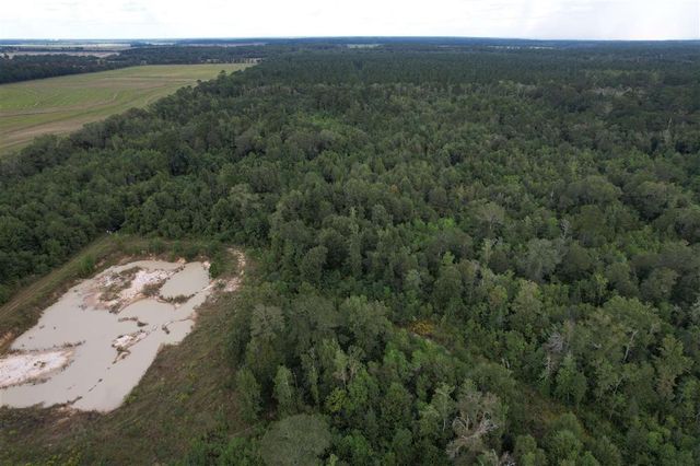 TBD Leonard Road, Elton, LA 70532