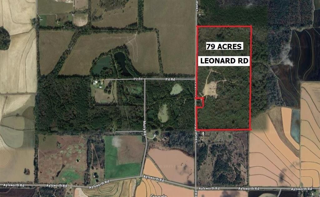 TBD Leonard Road, Elton, LA 70532