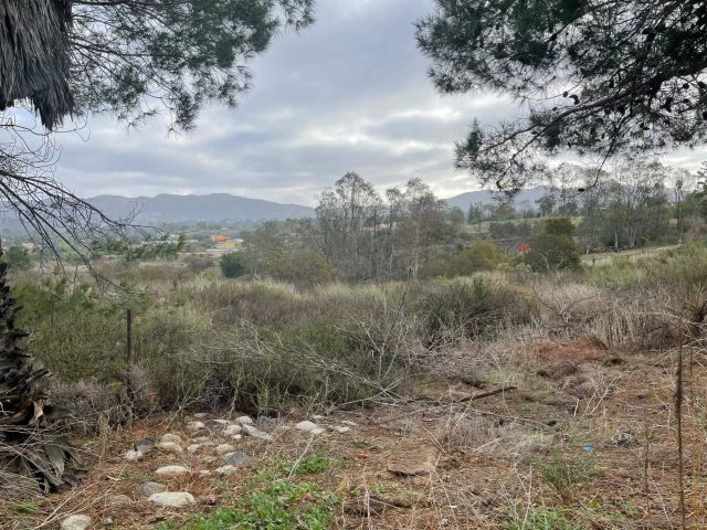 89 Yacoo Ct 89, Jamul, CA 91935