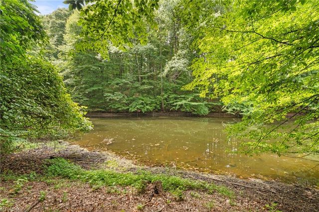 204 Tullyries Lane, Lewisville, NC 27023
