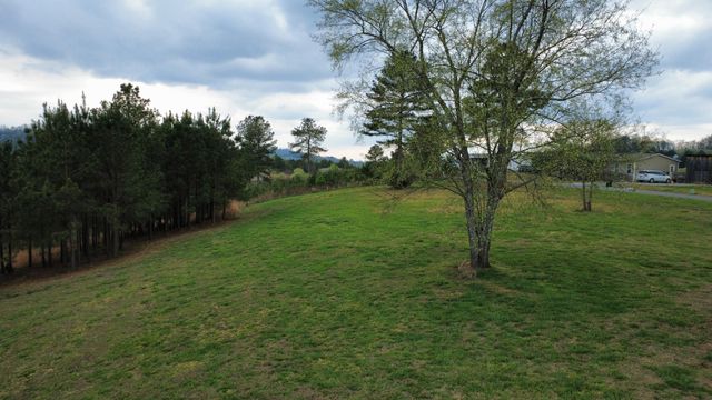 560 S Ridge Line Road, Decatur, TN 37322