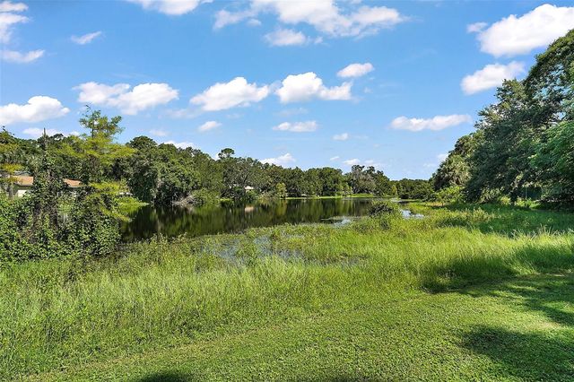 705 SUMMIT COURT, Mount Dora, FL 32757