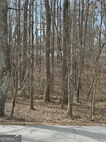 1436 Heritage Court, Villa Rica, GA 30180