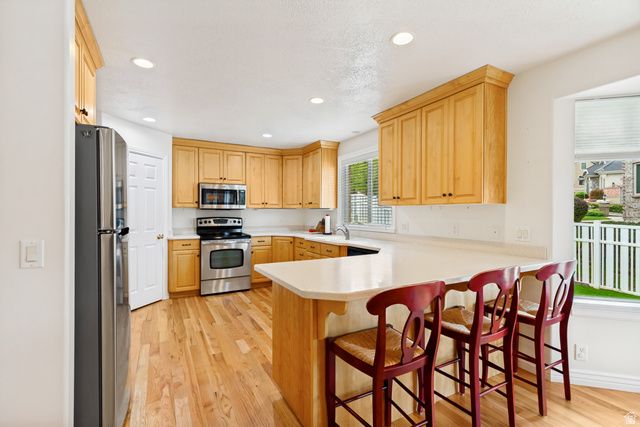 298 E NORTH CANYON RD, Bountiful, UT 84010