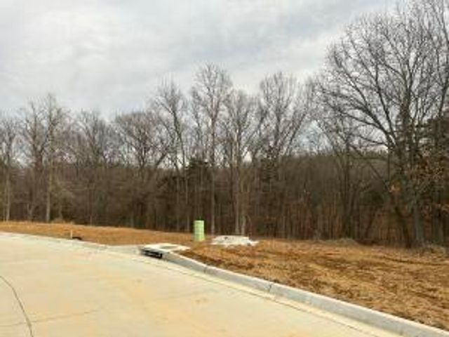 262 BOONE POINT SUBDIVISION, Boonville, MO 65233