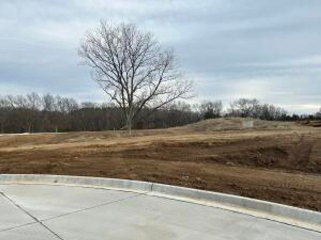 262 BOONE POINT SUBDIVISION, Boonville, MO 65233