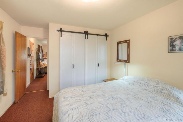 280 Hathaway Street, Fairplay, CO 80440
