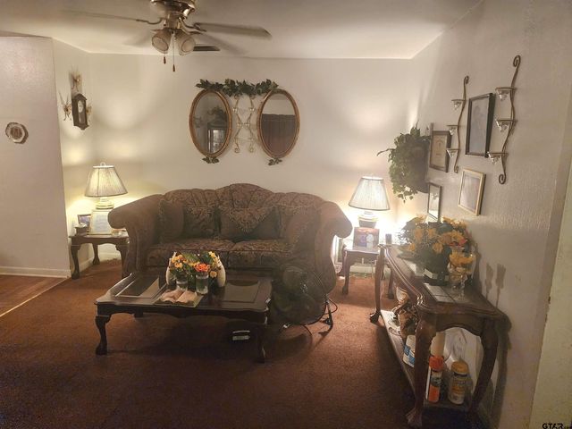 318 Milligan DR, Pittsburg, TX 75686
