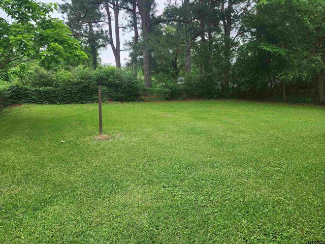 318 Milligan DR, Pittsburg, TX 75686