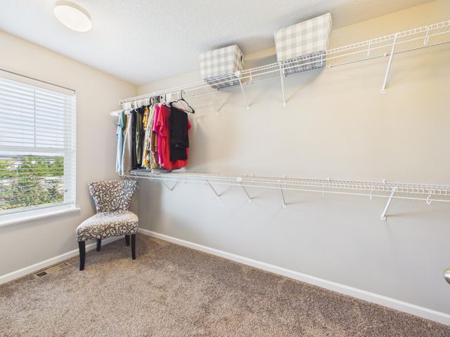 6598 Jeffery Avenue S, Cottage Grove, MN 55016
