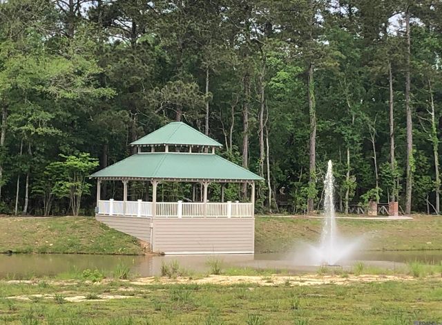 12754 Solemn Oaks Ave, Baton Rouge, LA 70818