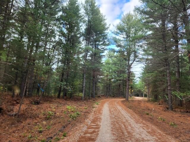 Parcel L Tatanka Trail, Baldwin, MI 49304