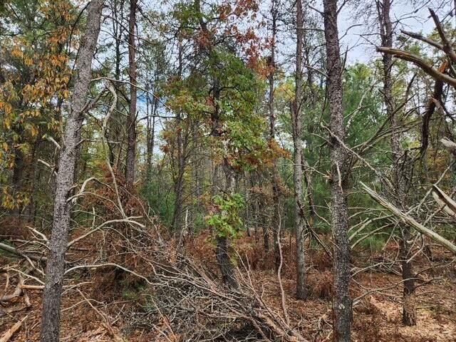 Parcel L Tatanka Trail, Baldwin, MI 49304