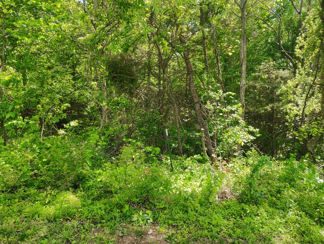 8447 Epperson Springs Rd, Westmoreland, TN 37186