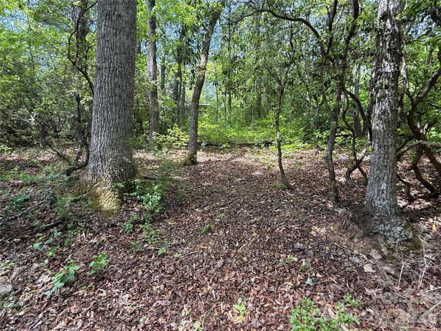 39 Lisa Court 11, Otto, NC 28763
