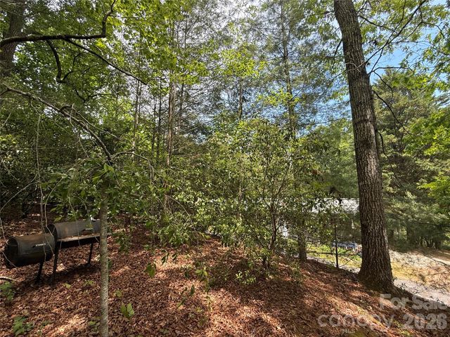 39 Lisa Court 11, Otto, NC 28763