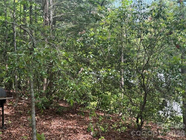 39 Lisa Court 11, Otto, NC 28763