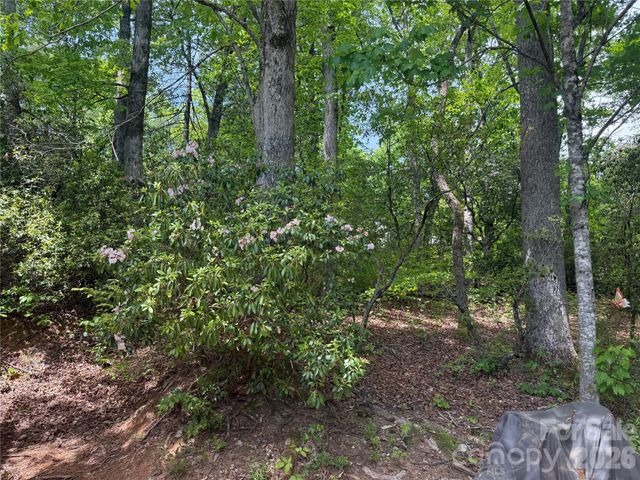 39 Lisa Court 11, Otto, NC 28763