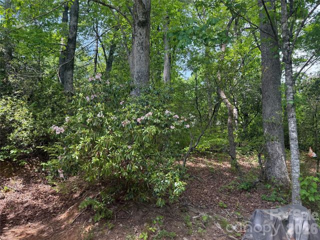 39 Lisa Court 11, Otto, NC 28763
