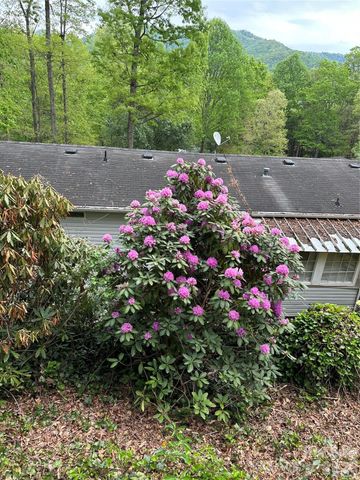 39 Lisa Court 11, Otto, NC 28763