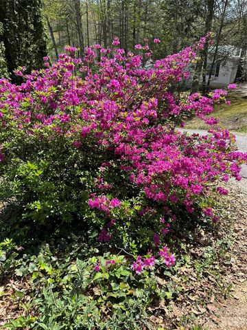 39 Lisa Court 11, Otto, NC 28763