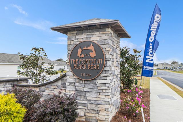 135 Honey Jar Way, Longs, SC 29568