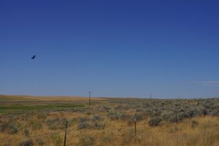 NKA Coal Sprigs Rd, Harrington, WA 99134