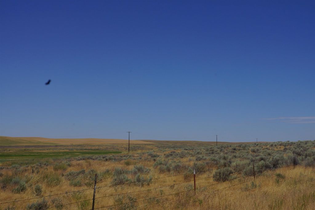 NKA Coal Sprigs Rd, Harrington, WA 99134