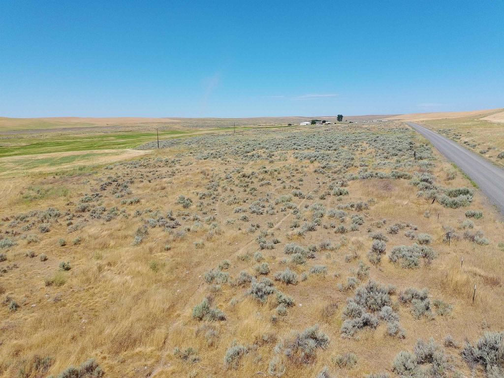 NKA Coal Sprigs Rd, Harrington, WA 99134 photo 13