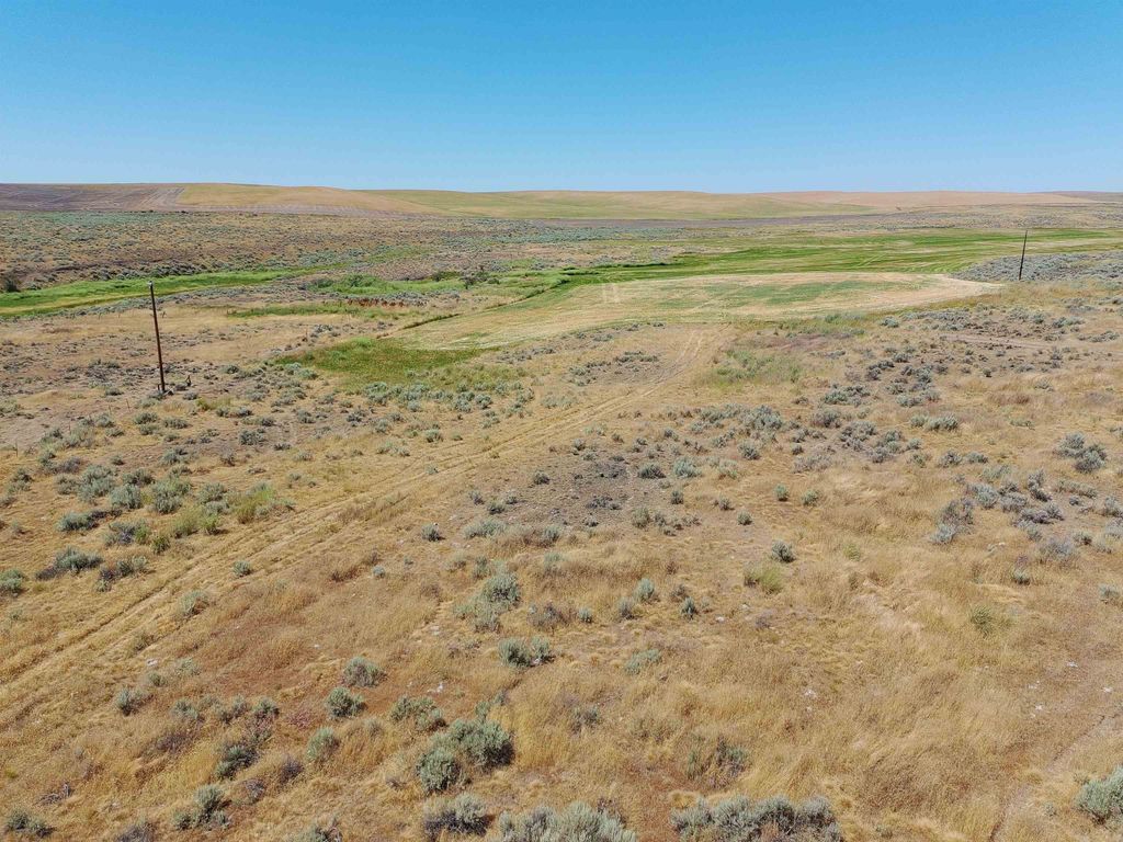 NKA Coal Sprigs Rd, Harrington, WA 99134 photo 15