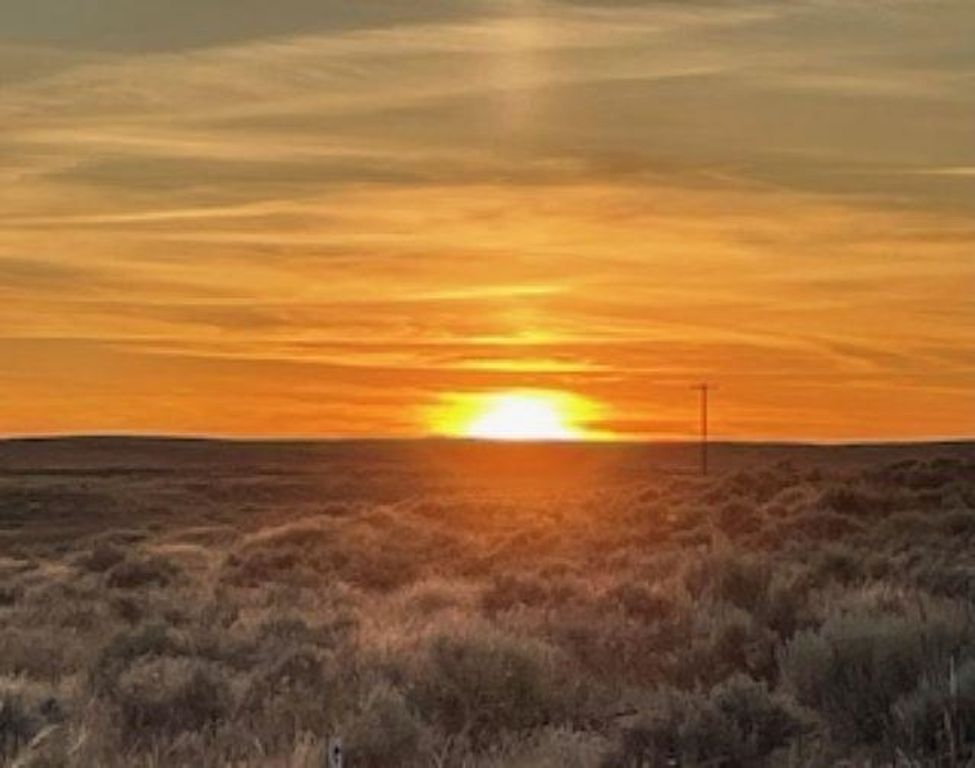 NKA Coal Sprigs Rd, Harrington, WA 99134 photo 23