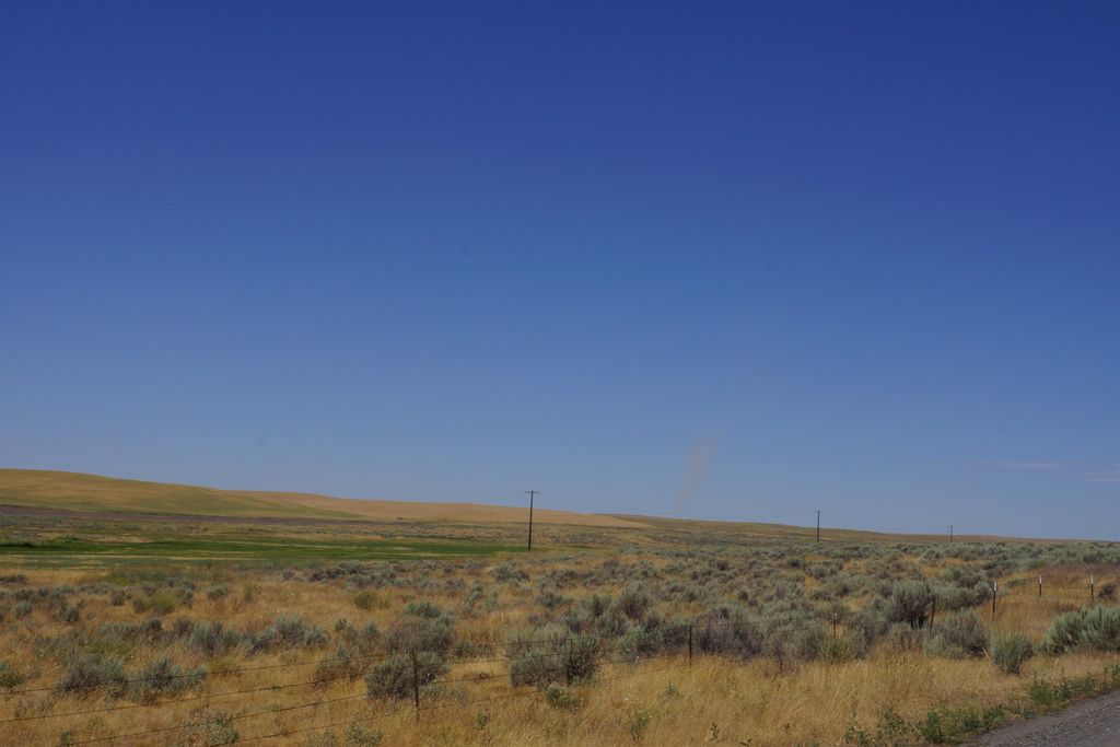 NKA Coal Sprigs Rd, Harrington, WA 99134 photo 4