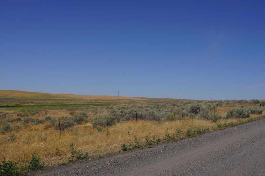 NKA Coal Sprigs Rd, Harrington, WA 99134 photo 5