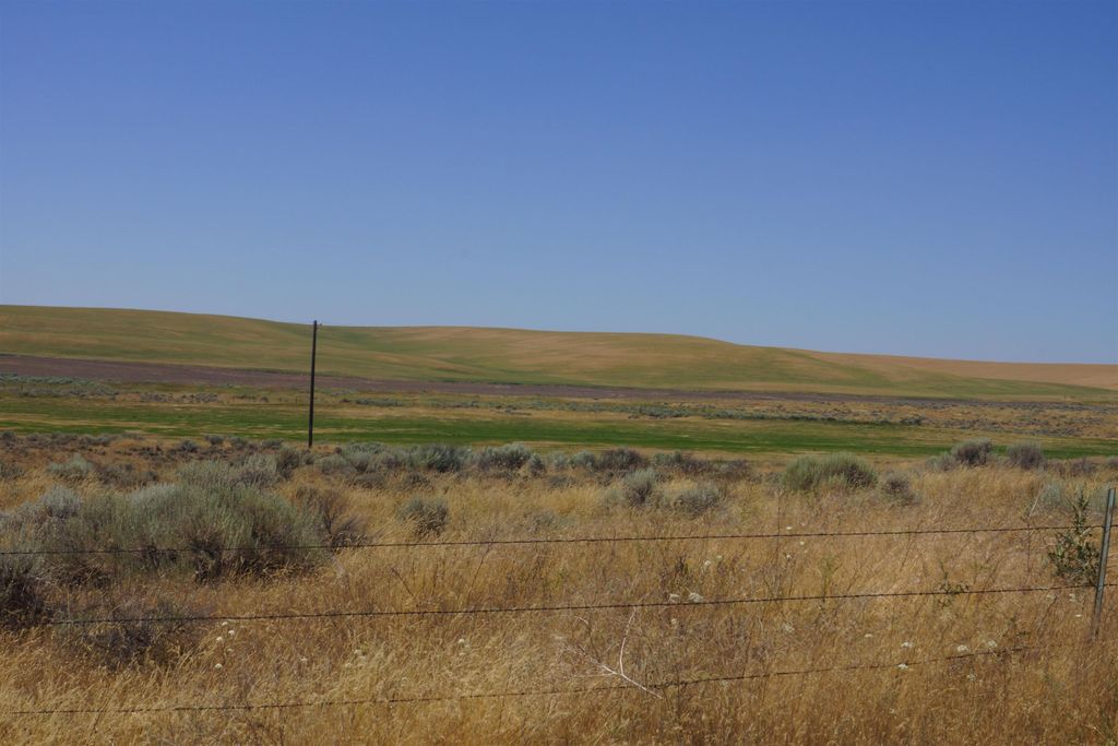 NKA Coal Sprigs Rd, Harrington, WA 99134 photo 6