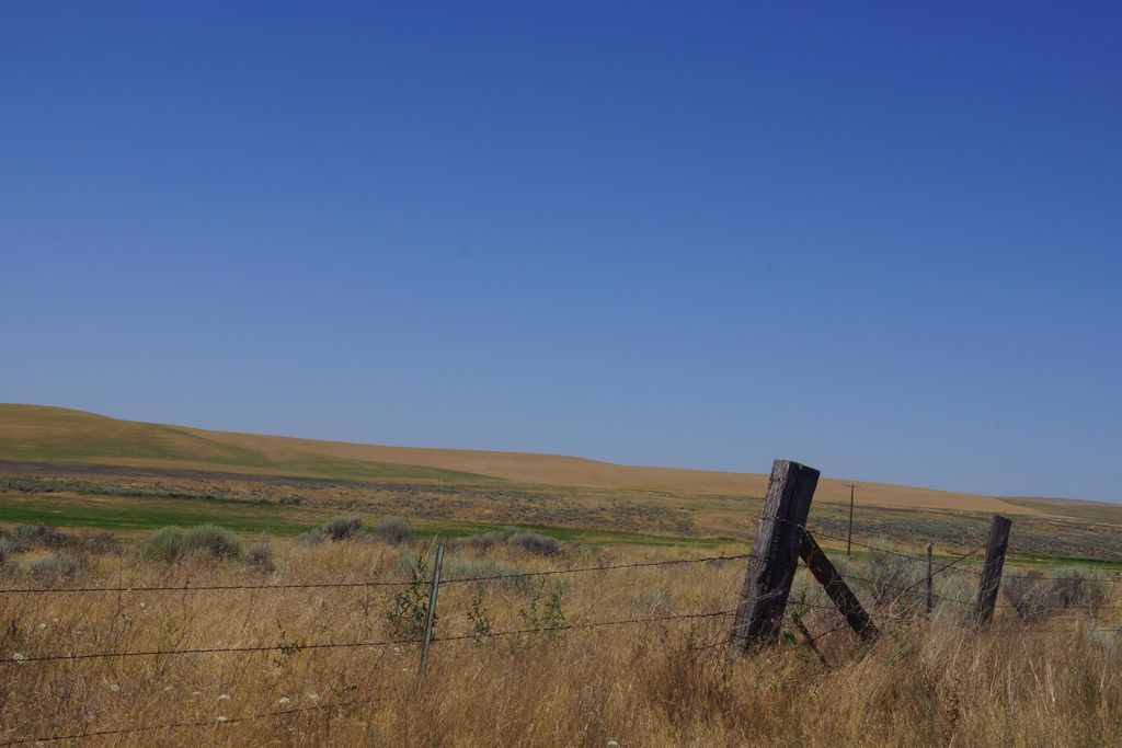 NKA Coal Sprigs Rd, Harrington, WA 99134 photo 7