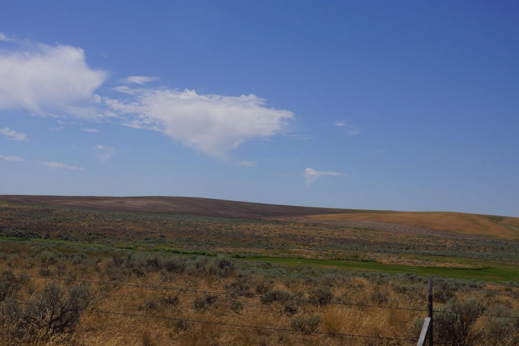 NKA Coal Sprigs Rd, Harrington, WA 99134 photo 9