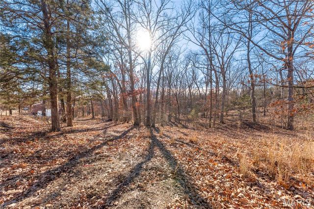 7551 Washout Drive, Cedar Hill, MO 63016