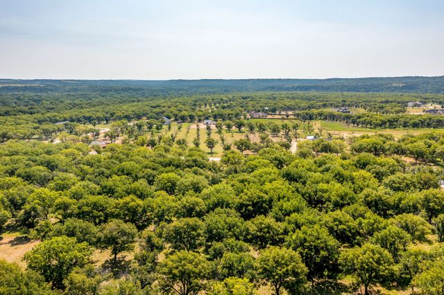 2531 Buckskin Drive, Granbury, TX 76049