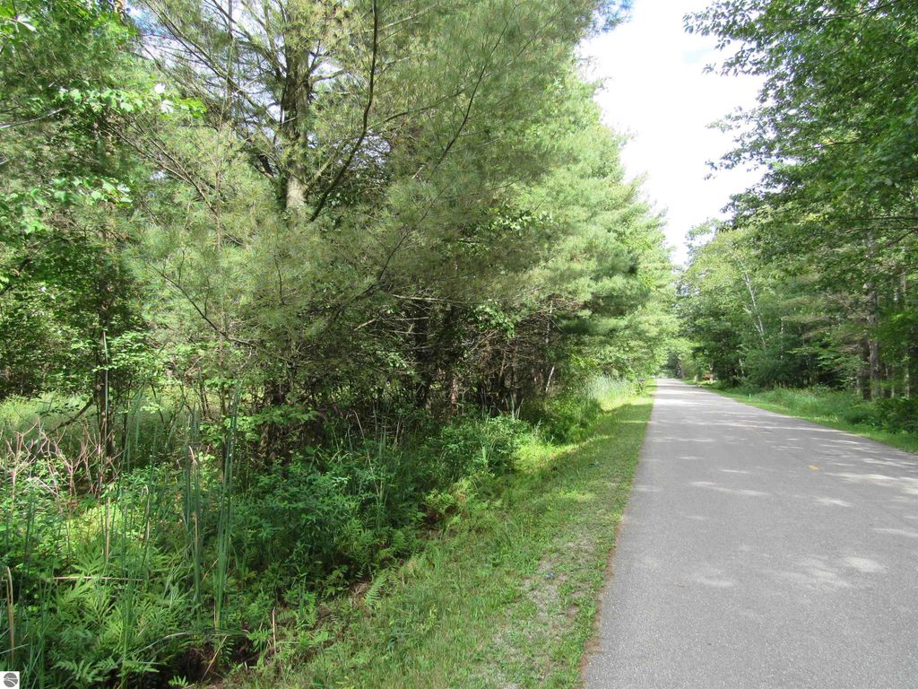 Image 2 of property listing at 00 Duby Road, Tawas City, MI 48763