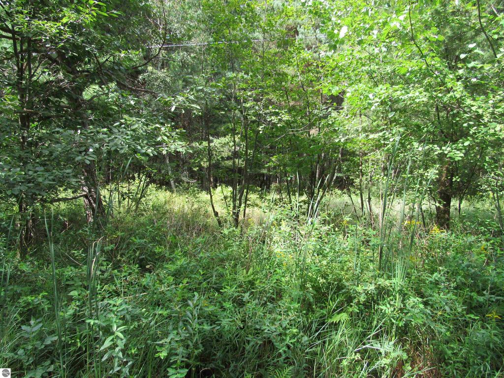 Image 4 of property listing at 00 Duby Road, Tawas City, MI 48763