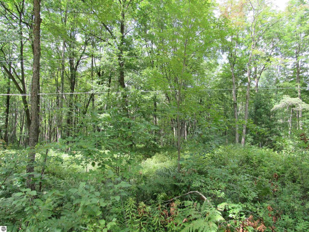 Image 5 of property listing at 00 Duby Road, Tawas City, MI 48763