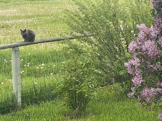 135 Mt Highway 2 E, Whitehall, MT 59759