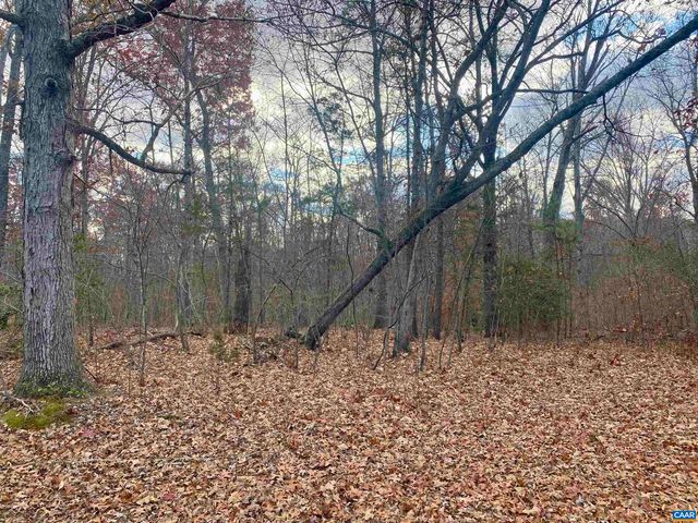 0 CHARLES LN, Louisa, VA 23093