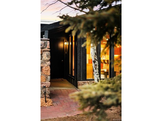 29176 Little Big Horn Dr, Evergreen, CO 80439