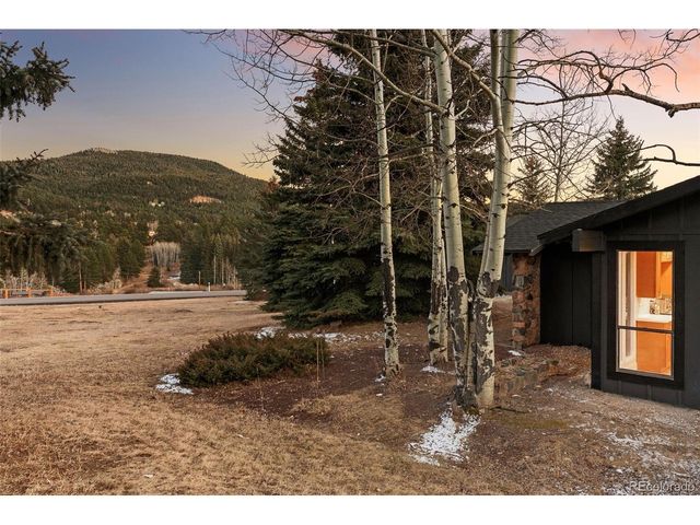 29176 Little Big Horn Dr, Evergreen, CO 80439